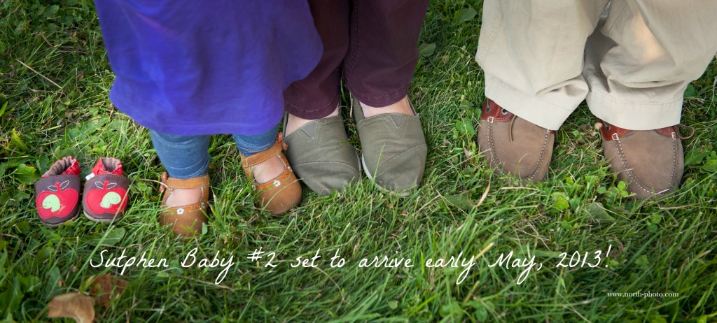 The Belly Chronicles- The First Trimester