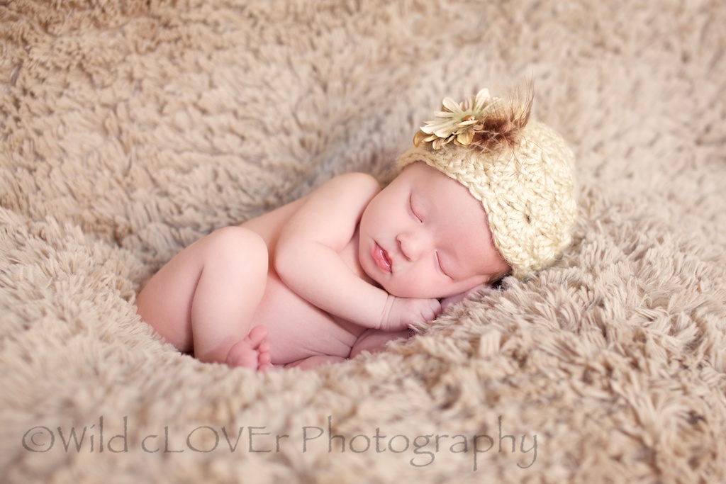 Wild cLOVEr Photography -CLOSED