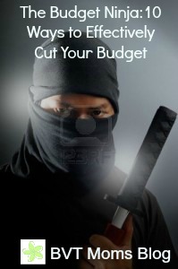 Flashback Friday :: Budget Ninja
