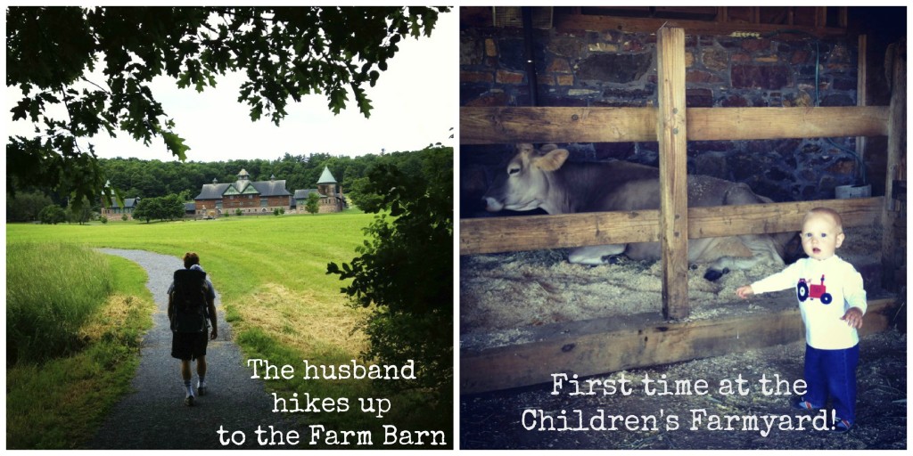 Tessa Shelburne Farms 4