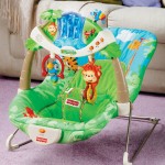 Baby Bouncer
