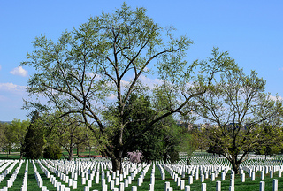 Memorial Day