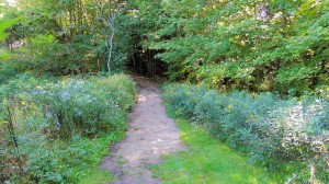Audubon Trails