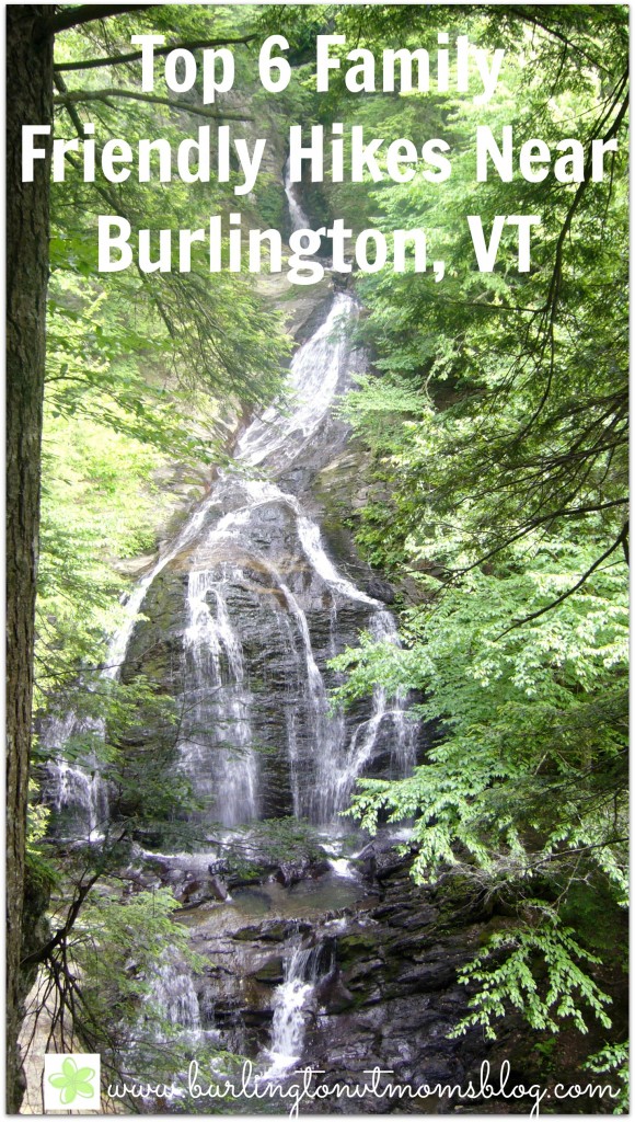 Top 6 Family Friendly Hikes