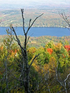Mount Elmore Trail View