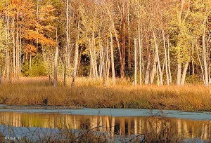 LaPlatte Nature River Trail