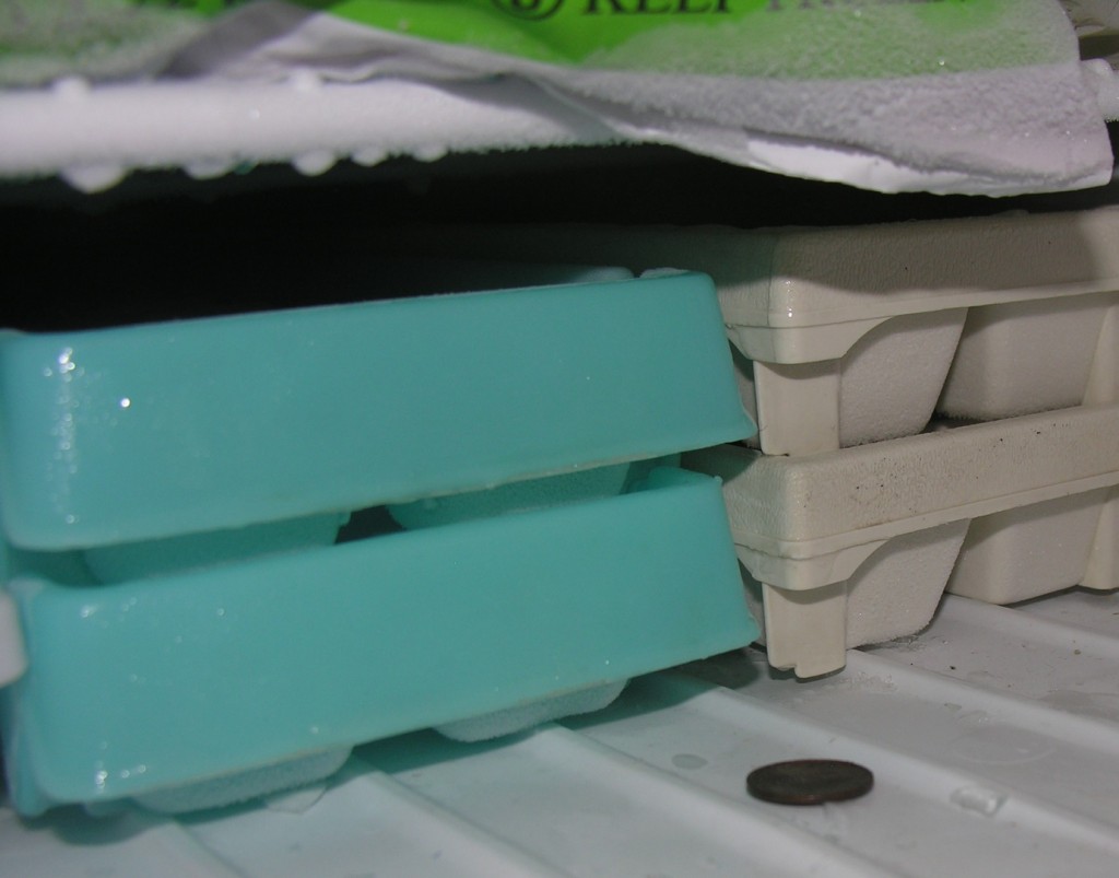 There’s a Penny In My Freezer