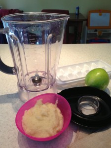 Babyfood3