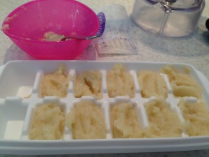 Babyfood4
