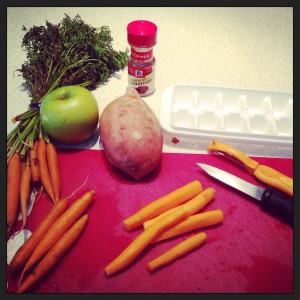 Babyfood1