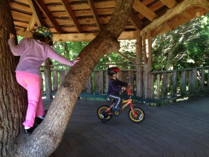 OakledgeTreehouse1
