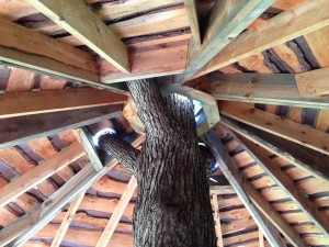 OakledgeTreeshouse2