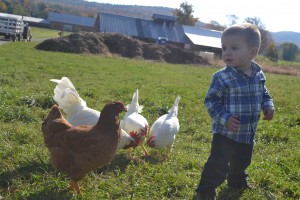 dean farm