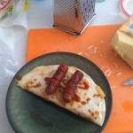 Quessadogga4