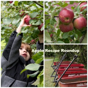 AppleRecipe Collage