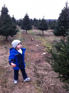 ChristmasRoundup2
