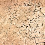 Battle Scars: Dealing with your Postbirth Body
