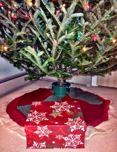 ChristmasEveBox4