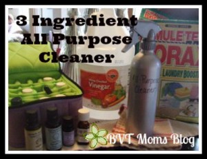 3IngredientCleaner