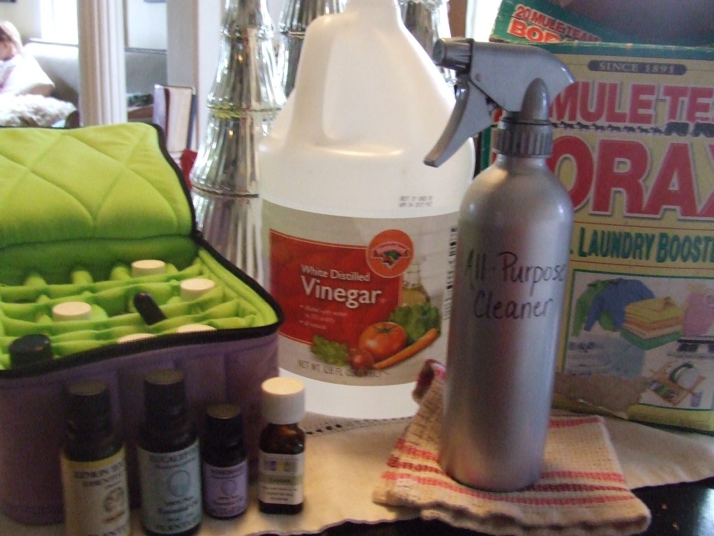 3 Ingredient All Purpose Cleaner