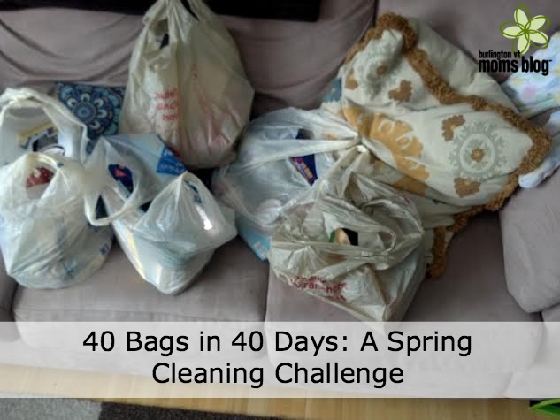 40 bags pinnable.jpg