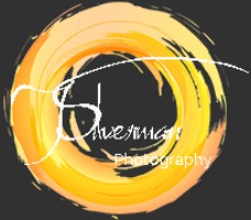 J Silverman Photography Review and Giveaway!
