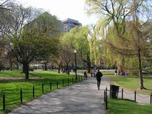 boston-common