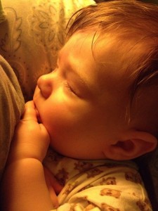 Malcolm catching a post-nursing snooze.