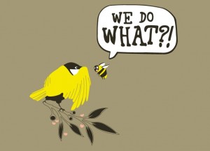 birdsbees
