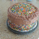 Aedan’s birthday cake