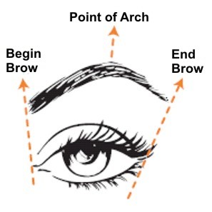Eyebrows on point