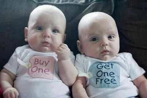 Who doesn't want to spend their days around cuties like this?!