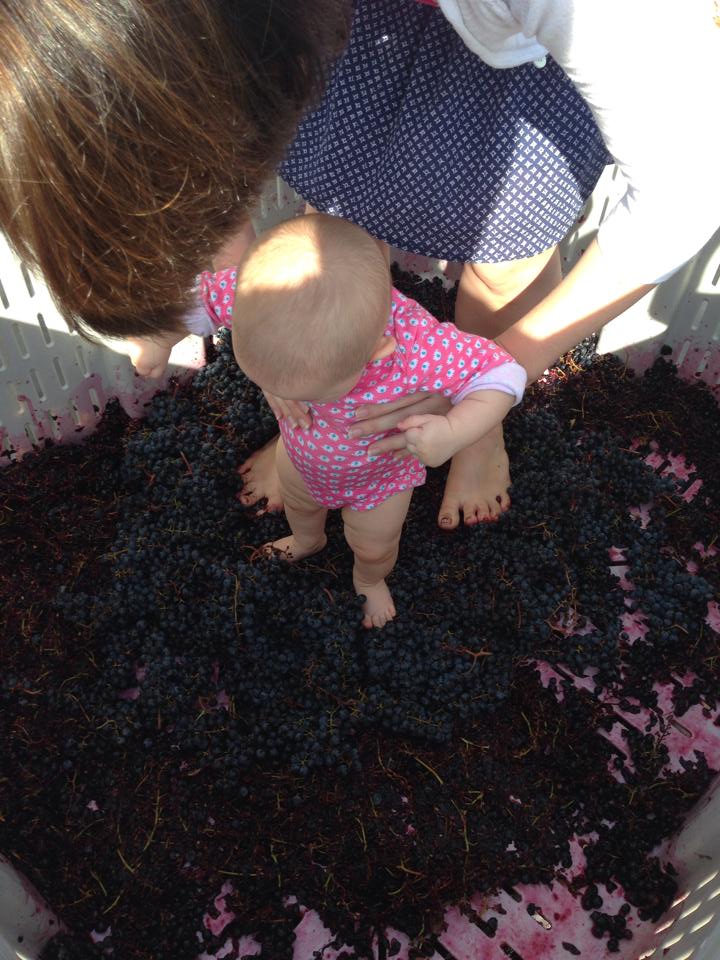 Yes Caroline and I are squashing grapes with out feet!