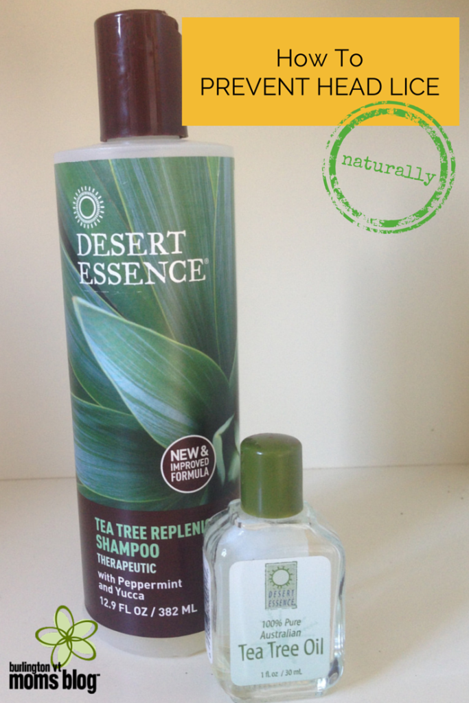 How To Prevent Head Lice Naturally head lice, natural remedies