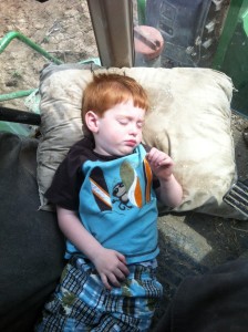 Beau sleeping in tractor