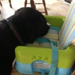 Booster seat