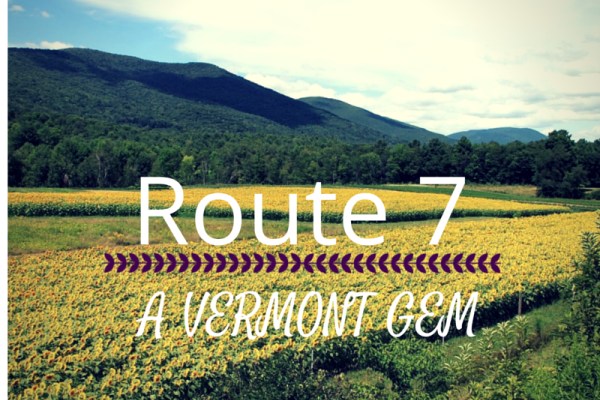 One of Vermont’s Gems for Parents and Kids Alike: Route 7 between Shelburne and Middlebury