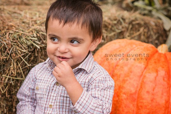 Sweet Events photography, little boy, pumpkins, hay bales