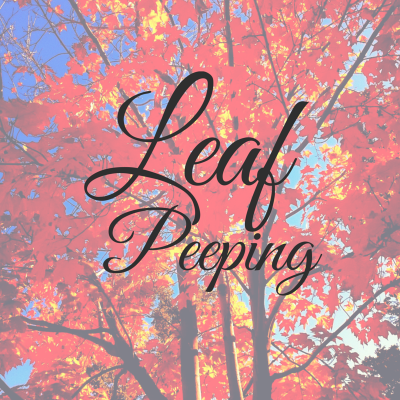 Leaf Peeping