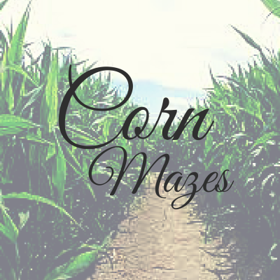 corn mazes