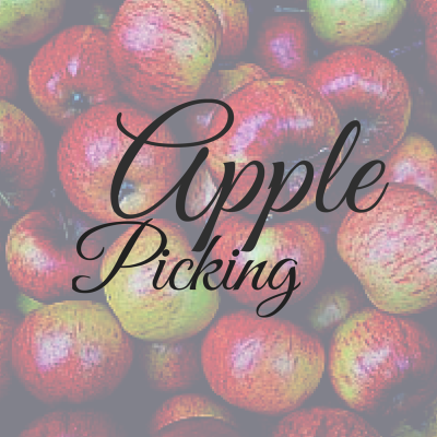 apple picking