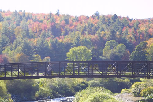Stowe Bike path fall