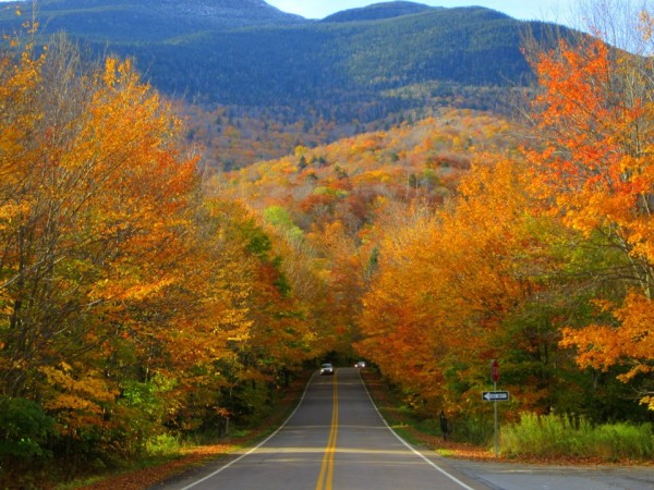 Why I Moved My Kids from the City to Rural Vermont and What I Love about It