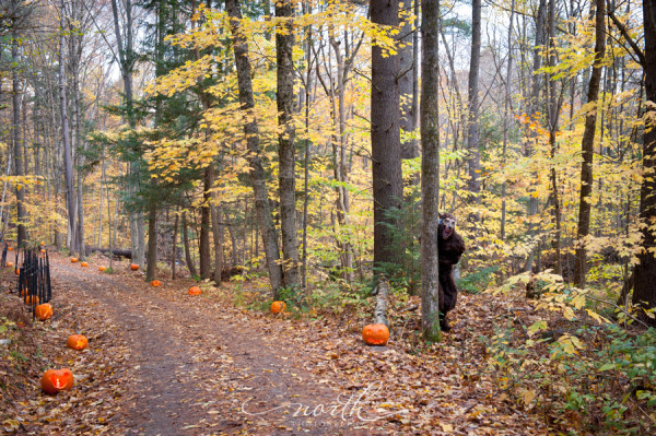 Photo taken by North Photography LLC