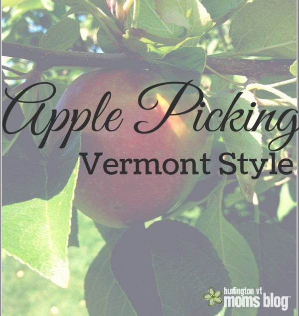 Apple Picking-Vermont Style