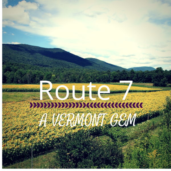Route 7