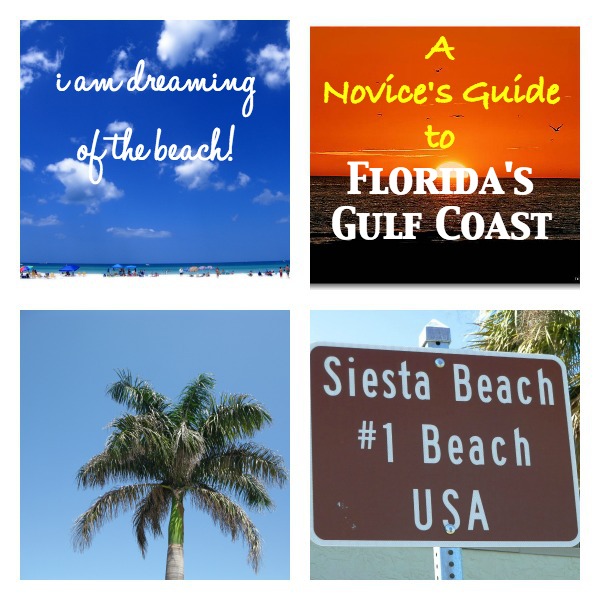 I am dreaming of the Beach! A novice’s guide to Florida’s Gulf Coast.