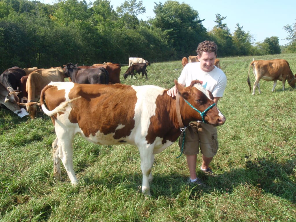 Man with cow in VT