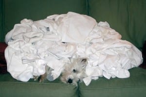 Laundry pile