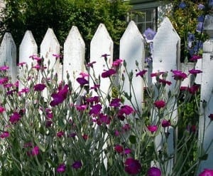 fence bordering a neighbors yard